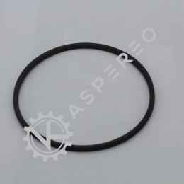 Actuator Piston Seal