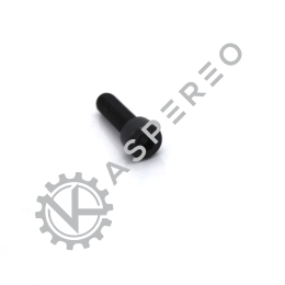 HEXAGON SCREW
