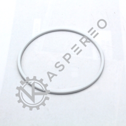 Sealing Ring 105/98.8mm